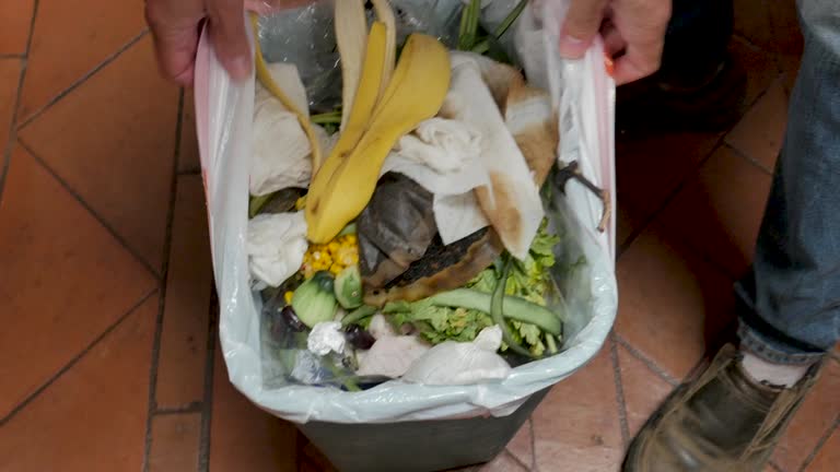 Best Property Management Cleanouts  in Leavittsburg, OH
